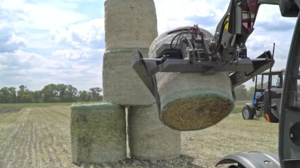 Maquinaria agrícola que transporta rollos de paja en el campo de cultivo. ¡Haystacks! — Vídeos de Stock