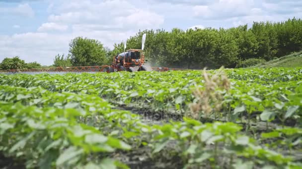 Fertilizante agrícola trabajando en el campo. Pulverización de plaguicidas. Campo de riego — Vídeos de Stock