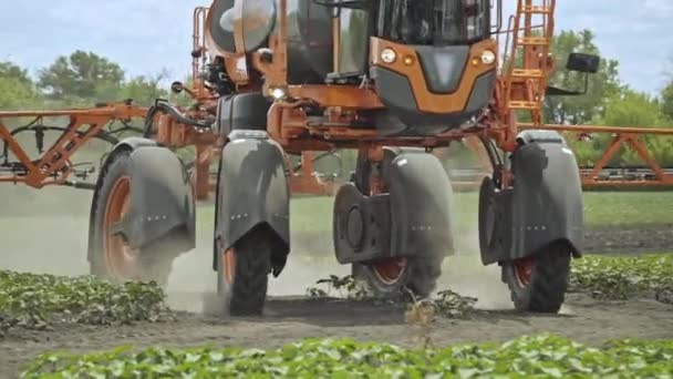 Lantbruksmaskiner för pollinering växter flytta på fältet. Sprutning av maskin — Stockvideo