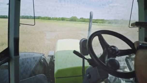 Maquinaria agrícola. Tractor volante manos. Conductor tractor agrícola — Vídeo de stock