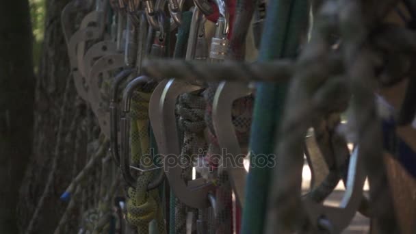 Arrampicata moschettone e corde da arrampicata per sport estremi nel parco avventura — Video Stock