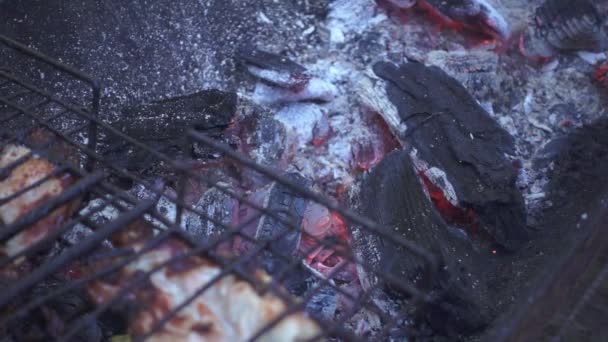 Quema de carbón en la parrilla de barbacoa en el fondo carne asada en el picnic de verano — Vídeo de stock