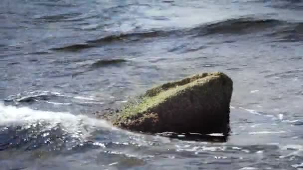 Olas marinas salpicando sobre piedra de fondo. Espuma marina en marea alta en costa pedregosa — Vídeos de Stock