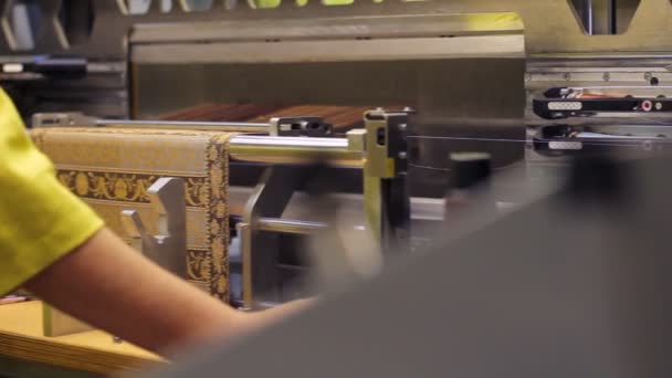 Trabalhadora que trabalha na máquina de tecelagem. Processo de produção de tecidos — Vídeo de Stock