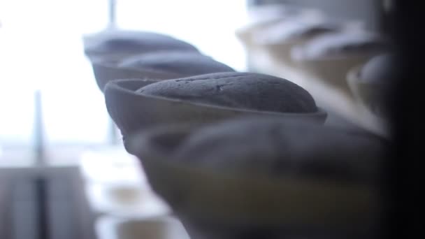 ベルトコンベアでパンの塊。パン工場。パン業界 — ストック動画
