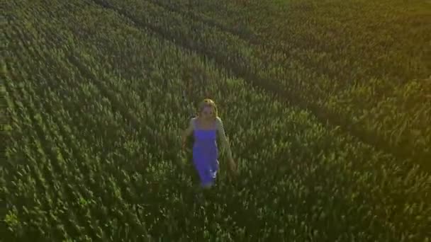 Mujer feliz corriendo en el campo de verano. Mujer joven corriendo campo — Vídeos de Stock