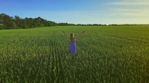 Жінка стоїть в зеленому полі з руками вгору. Літня ходьба на пшеничному полі — стокове відео