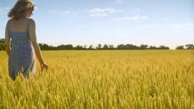 Güzel kız altın buğday hasat alanında. Buğday kulakları seyir Ziraat Mühendisi