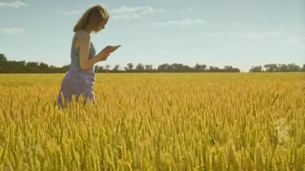 Feminino agrônomo olhando orelhas de trigo. Cientista que examina a colheita de trigo — Vídeo de Stock