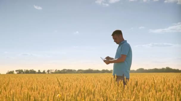 Landbouw wetenschap. Landbouwingenieur werken in veld. Landbouw concept — Stockvideo