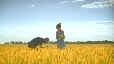 Buğday kulakları ile kadın Ziraat Mühendisi analiz Agro çiftçi. Tarım araştırma