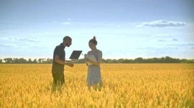 Agro araştırmacılar ekibi buğday alanında çalışıyor. Tarım araştırma kavramı