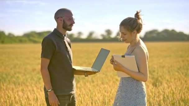 Agro researchers analyzing wheat harvest. Agribusiness people in field at summer — Stock Video