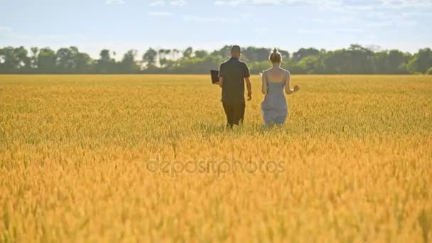 Agricultores caminhando no campo de trigo. Trabalhadores agrícolas em belo campo amarelo — Vídeo de Stock