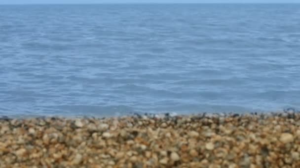 De oppervlakte van de kalme zee op de achtergrond zandige en rotsachtige kust. Prachtige zee landschap — Stockvideo