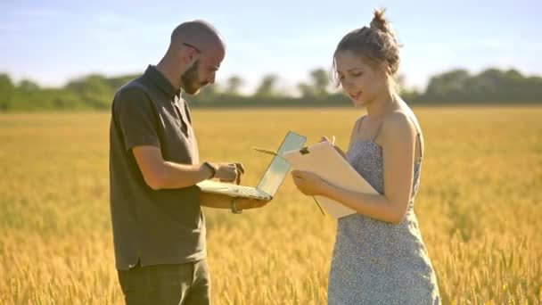 Agronomists working in wheat field. Agriculture scientist using computer — Stock Video