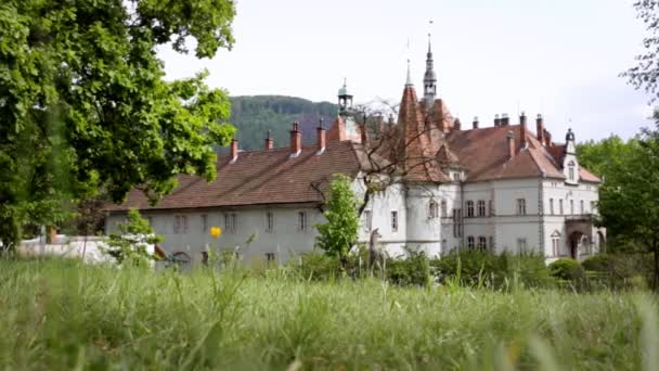 Graues Burggebäude auf grüner Wiese. Vintage-Haus auf grünem Rasen — Stockvideo