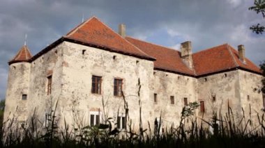 Kahverengi çatı ile büyük gri castle. Eski mimari yapı.