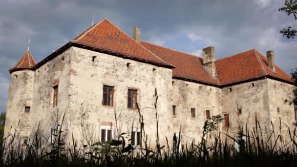 Big grey castle with brown roof. Old architecture building. — Stock Video