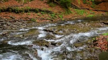 Dağ nehir akarsu manzarası. Hızlı nehir vahşi stream