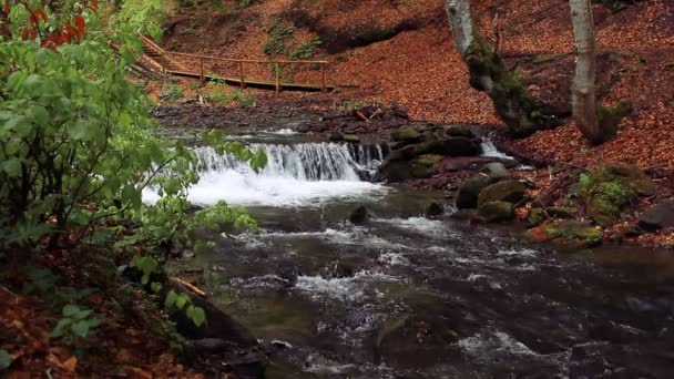 Små vattenfall i park. Floden med cascade flödar i bergig park — Stockvideo