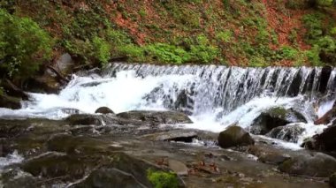 Dağ şelale derin orman içinde. Su akışı dağ Nehri üzerinde