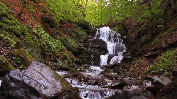 Paysage de montagne avec eau rapide . — Video