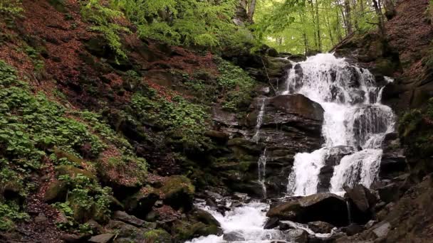 Cascade waterfall in mountains. Water falling landscape — Stock Video