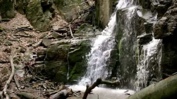 Paysage sauvage de cascade de montagne. Ruisseau d'eau coulant dans un sentier rocheux — Video