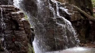 Kayalık dağ şelale güzel. Su akışı yokuş aşağı vahşi orman