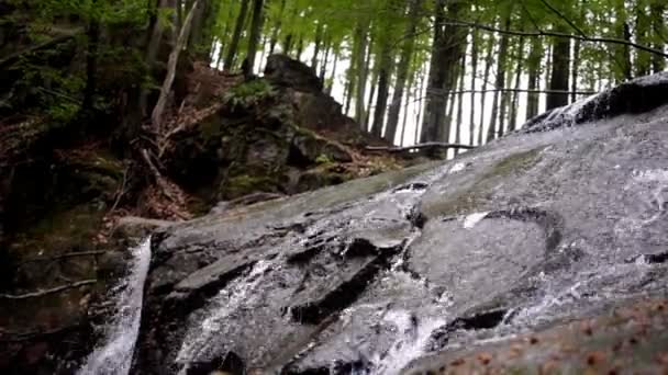 Fließendes Wasser in felsiger Landschaft in wildem Wald. Wasserlauf in felsigem Pfad — Stockvideo