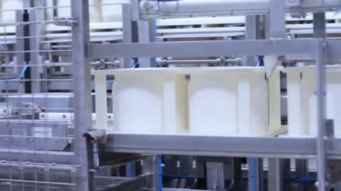 Fabrika konveyör üretim peynir ürünleri için. Süt ürünleri imalatı