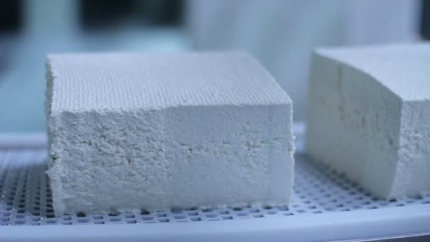 Production Of Cottage Cheeses In Factory Cheese Production Line