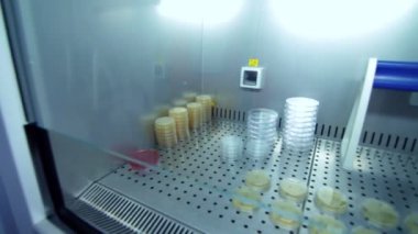 Laboratuar kapkacakları klinik araştırma için. Buzdolabı depo tüplerde laboratuvar