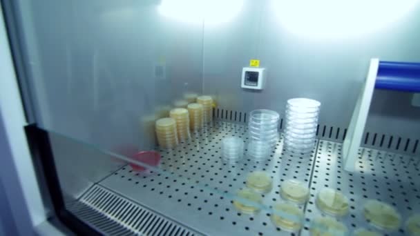 Vidrio de laboratorio para investigación clínica. Tubos de laboratorio en almacén refrigerador — Vídeo de stock