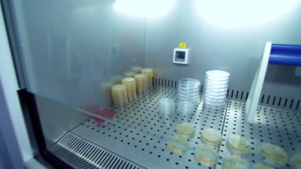 Verrerie de laboratoire pour la recherche clinique. Tubes de laboratoire dans un entrepôt frigorifique — Video