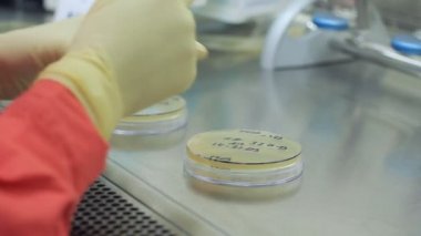 Bilim adamı el test şişeler yazma. Ellerinde eldiven test tüpleri ile çalışma
