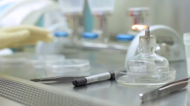 Wissenschaftler Hand in Hand Labortests durchführen. Handwärmende Pinzette für die Forschung — Stockvideo