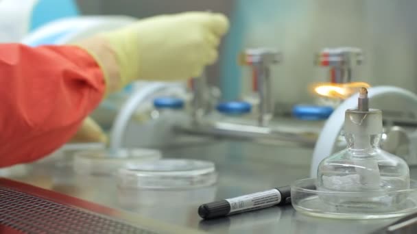 Χημική επιστήμονας χέρι κάνει εργαστηριακή έρευνα. Εργαστήριο δοκιμών με κερί φωτιά — Αρχείο Βίντεο