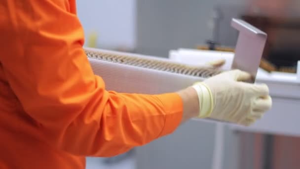 Trabajador farmacéutico cargando viales médicos en la máquina de envasado farmacéutico — Vídeo de stock