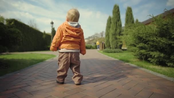 Achteraanzicht van een klein kind dat op gras loopt. Kleine jongen loopt in slow motion. — Stockvideo