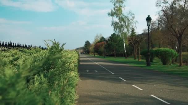 茂みの近くの公園で美しい道路。緑の空間のパノラマビュー. — ストック動画