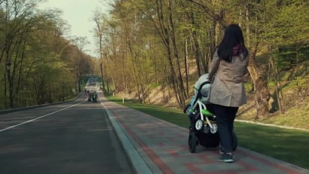 Young mother walking with baby carriage at park. Casual woman having sidewalk — 비디오