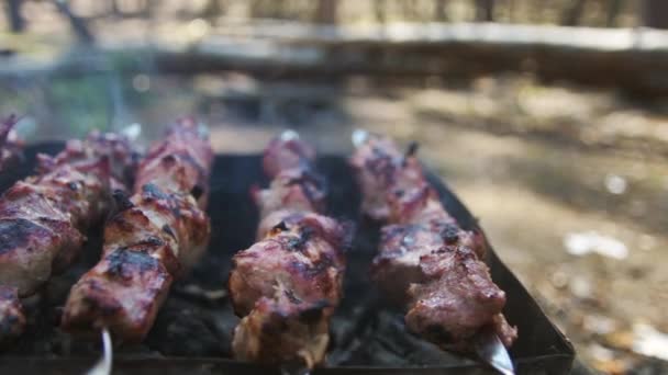 Feche o churrasco pronto deitado no churrasco ao ar livre. churrasco grelhado esperando piquenique — Vídeo de Stock