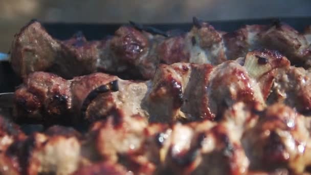 Macro of cooked kebabs smoking on skewers. Macro of barbecue meat on brazier. — Stockvideo