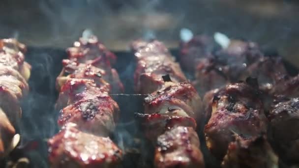 Close up barbecue meat roasting outdoor. Macro of smoked bbq grilling on brazier — Stok video