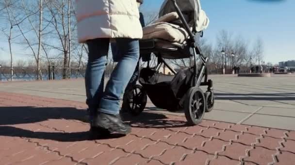 Visão traseira da jovem caminhando com carruagem de bebê perto do lado do rio . — Vídeo de Stock