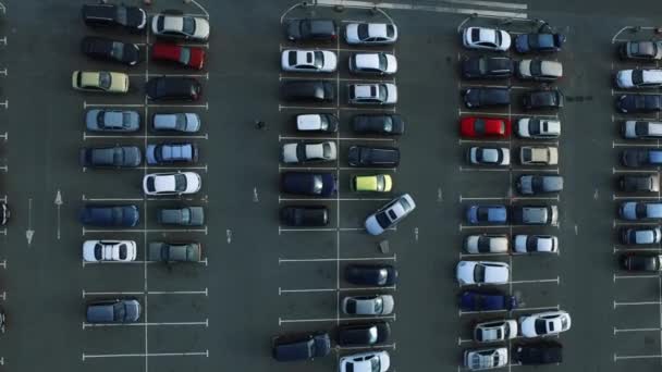 Otoparkta hareket eden insansız hava aracı görüntüleri. Hava manzaralı araba park yerinden ayrılıyor. — Stok video