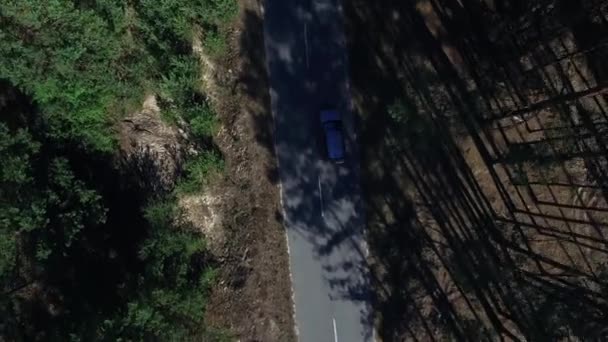 Above view car driving through forest. Drone view vehicle moving on rode — Stock Video