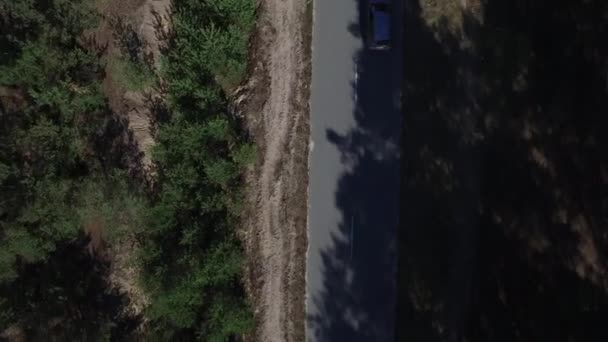 Коптер дивиться машину, що їде по дорозі в ліс. Повітряний вигляд безпілотник літає над дорогою — стокове відео
